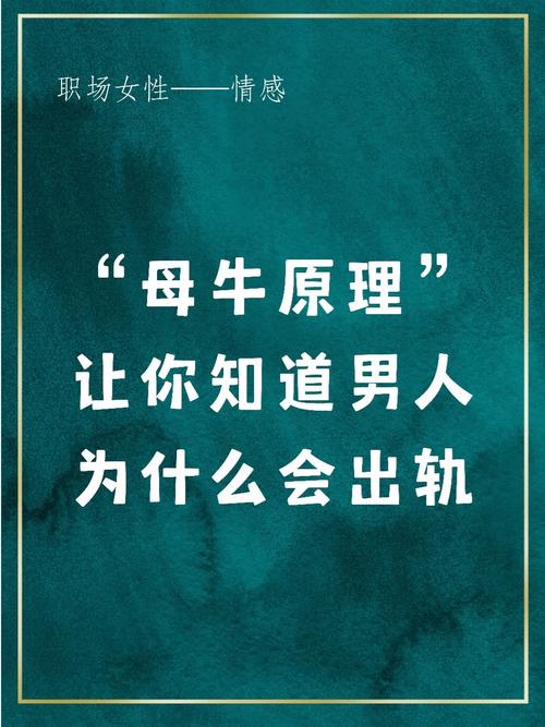 出轨电影网,最佳精选数据资料_手机版24.02.60